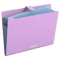 Папка А4, 12 отделений, Haze, 600 мкм, на кнопке, сиреневая