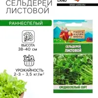 Семена Сельдерей &laquo;Листовой&raquo;, 0.5 г, &laquo;Рецепты дедушки Никиты&raquo;