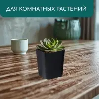 Горшок для рассады, 300 мл, d=7.5 см, h=7.5 см, пластик, чёрный, Greengo