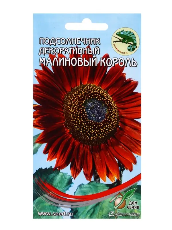 Семена цветов Подсолнечник Малиновый Король 15 шт