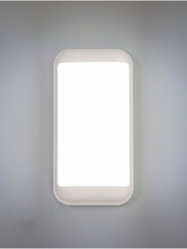 Светильник "Минимал" прямоугольник LED 10Вт 3000К (быстросъемный механизм) белый 5х12х24см   1077725