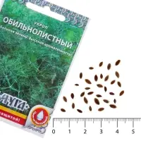 Семена Укроп &laquo;Обильнолистный&raquo;, 2 г, &laquo;Русский огород&raquo;
