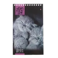 Блокнот &laquo;Альт. Кошки&raquo;, А5, 40 листов, на гребне, МИКС