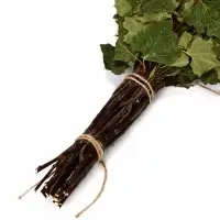 Веник для бани, берёзовый, в упаковке