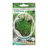 Семена цветов Джункус развесистый "Спираль", 5 шт Семена цветов Джункус развесистый "Спираль", 5 шт