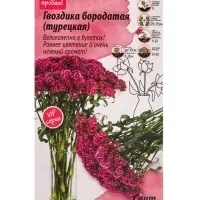 Семена цветов Гвоздика бородатая &laquo;Свит Маджента биколор&raquo;, 6 шт.