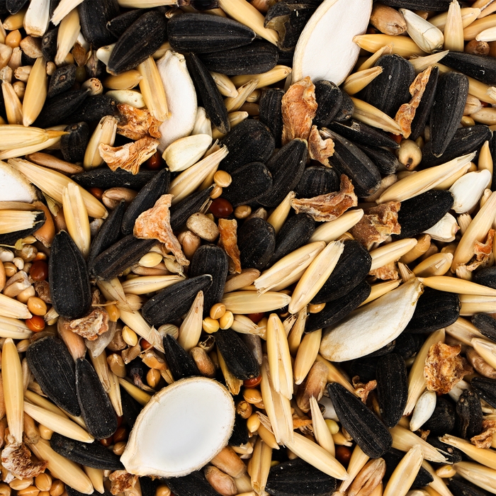 Корм  Корм "Пижон" для средних попугаев, с орехами, 400 г