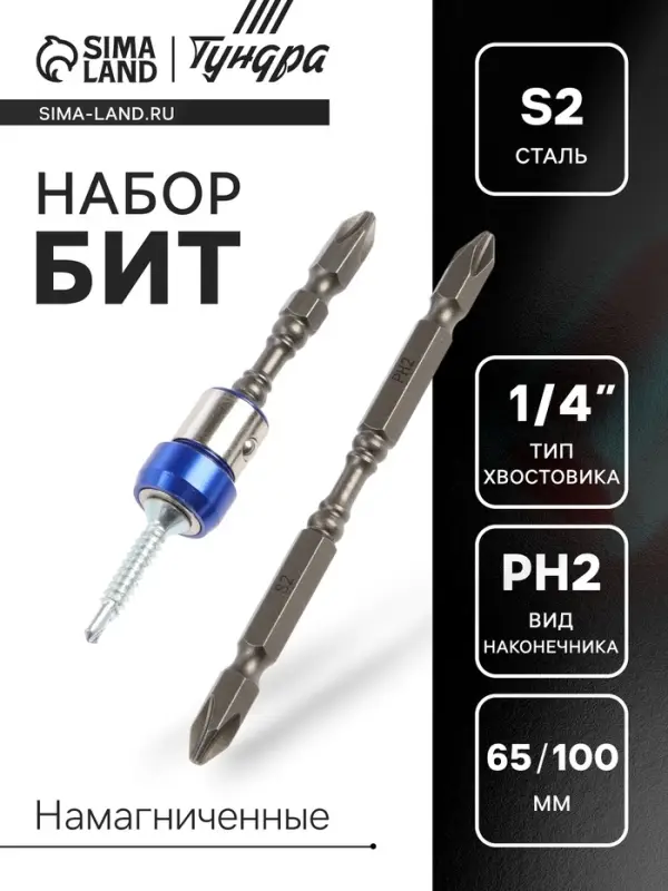 Набор бит ТУНДРА, сталь S2, круглый магнит, двухсторонняя, PH2&times;65 и 100 мм, 2 шт.