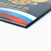 Дневник школьный 1-4 класс &laquo;Россия&raquo;, твердая обложка 7БЦ, глянцевая ламинация, 48 листов
