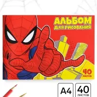 Альбом для рисования &laquo;Паутина&raquo;, А4, 40 листов 90 г/м&sup2;, на скрепке