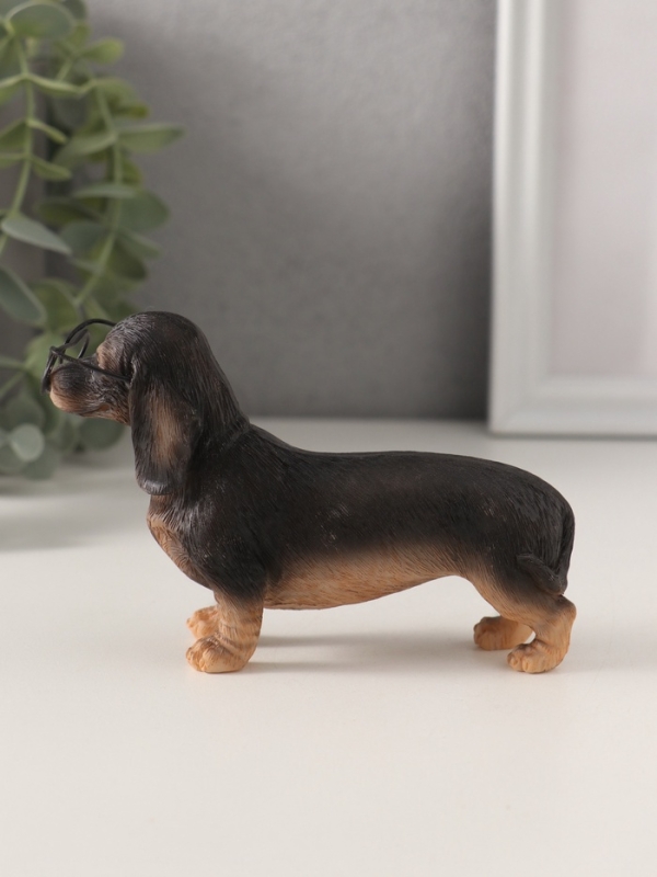 Сувенир полистоун "Такса в очках" 11,5х4х7,5 см