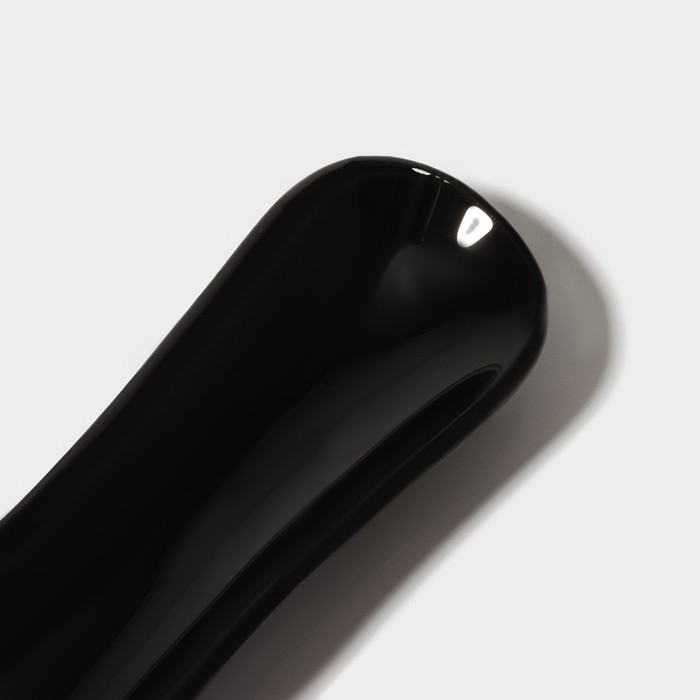 Подставка стеклянная под ложку Доляна «Блэк», 23,5×8,3 см, цвет чёрный Подставка стеклянная под ложку Доляна «Блэк», 23,5×8,3 см, цвет чёрный