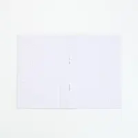 МИКС Блокнотов А6, 24 листа, в клетку "Капибары"