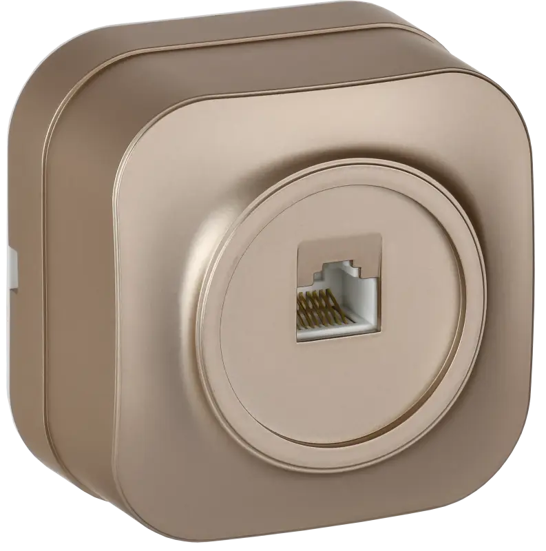 GLORY Розетка для открытой установки компьютерная RJ45 кат.5E РК10-ХШм шампань матовый IEK