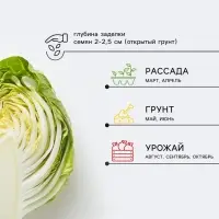 Семена Капуста белокочанная &laquo;Краутман&raquo;, F1, 0.05 г, &laquo;Урожай удачи&raquo;