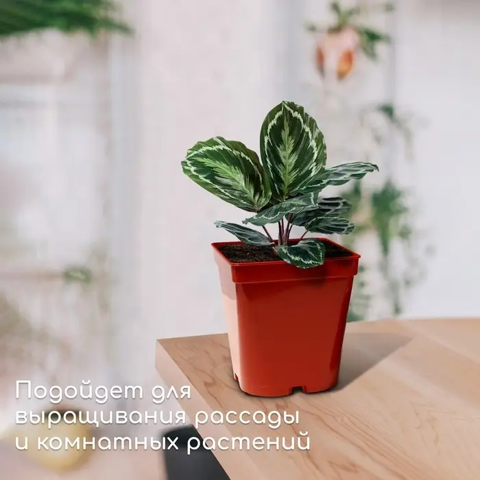 Горшок для рассады, 3 л, d = 16 см, h = 16 см, терракот, Greengo Горшок для рассады, 3 л, d = 16 см, h = 16 см, терракот, Greengo
