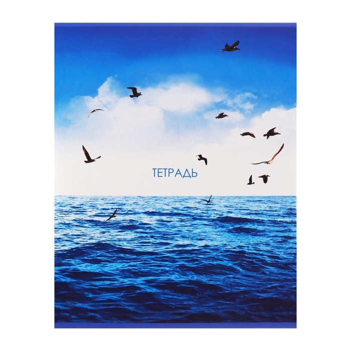 Тетрадь 96 листов в линейку Calligrata Тетрадь 96 листов в линейку Calligrata "Морской пейзаж", обложка мелованный картон, блок №2, белизна 75% (серые листы), МИКС