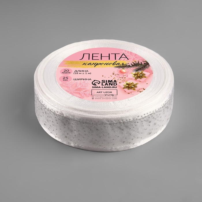 Лента капроновая «Блёстки», 25 мм × 18 ± 1 м, цвет серебряный Лента капроновая «Блёстки», 25 мм × 18 ± 1 м, цвет серебряный