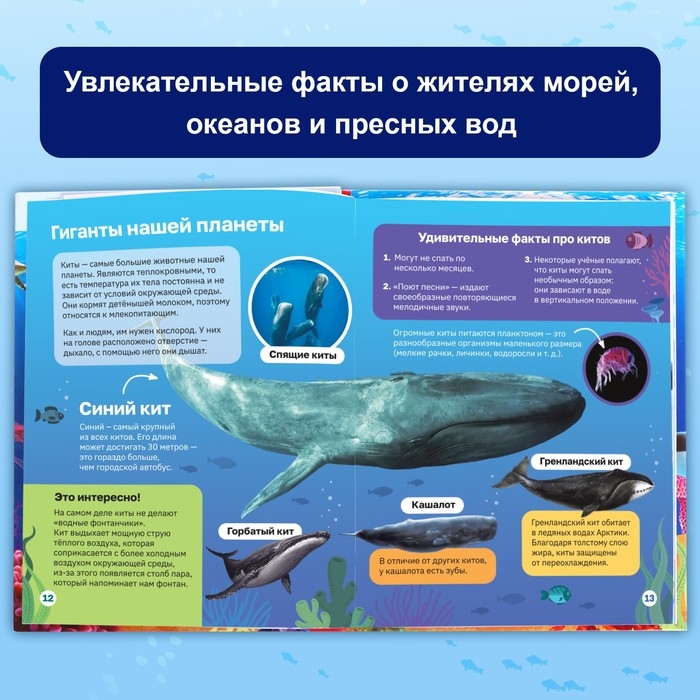 Энциклопедия в твёрдом переплёте «Подводный мир», 48 стр. Энциклопедия в твёрдом переплёте «Подводный мир», 48 стр.