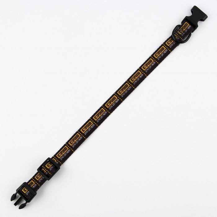 Ошейник «Осторожно», застёжка - фастекс, 2 см 25-40 см Ошейник «Осторожно», застёжка - фастекс, 2 см 25-40 см