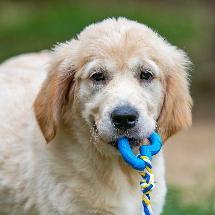 Игрушка Игрушка "Сердечко с канатом", 7 см, голубое