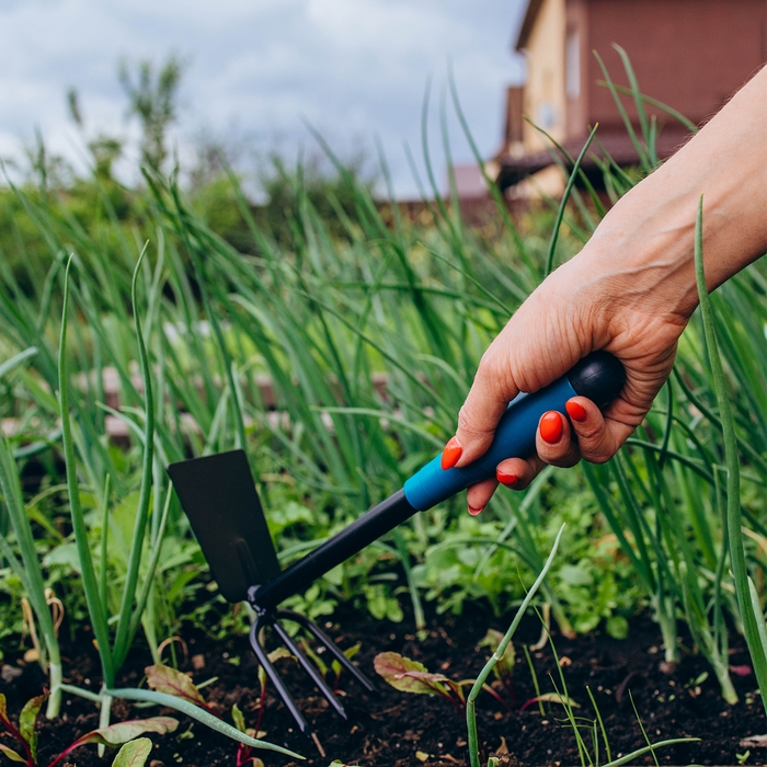 Мотыжка комбинированная Greengo, длина 28 см, 3 зубца, пластиковая ручка Мотыжка комбинированная Greengo, длина 28 см, 3 зубца, пластиковая ручка