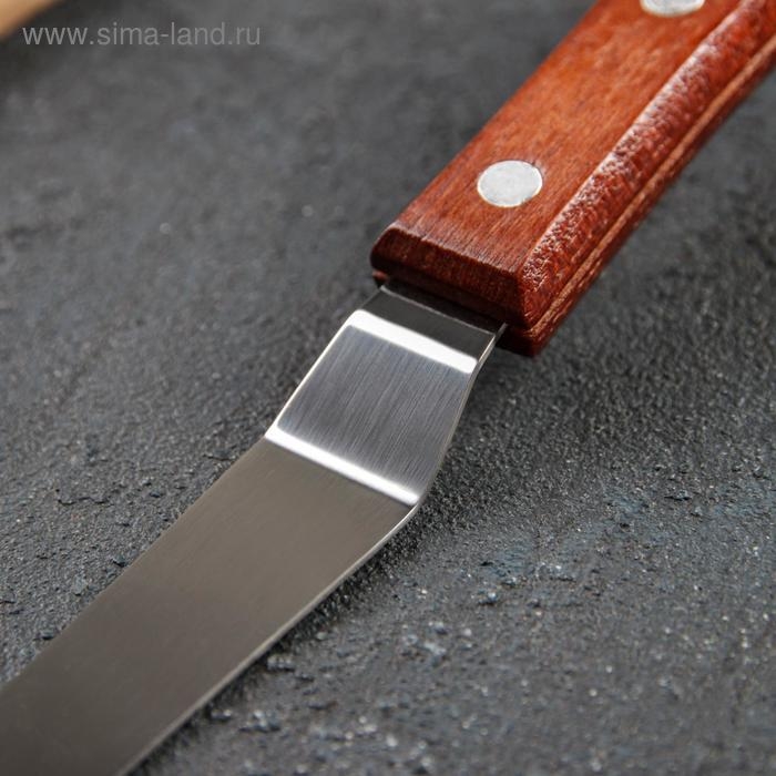 Кондитерская лопатка - палетка, изогнутая, 19,5 см, рабочая часть 10 см, цвет коричневый Кондитерская лопатка - палетка, изогнутая, 19,5 см, рабочая часть 10 см, цвет коричневый