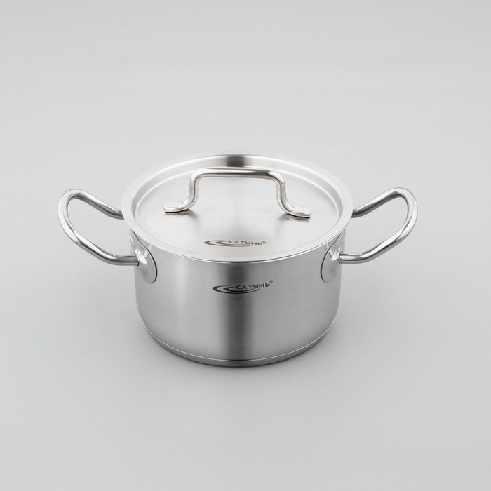 Кастрюля «Общепит», 2 л, d=16 см, h=10 см, капсульное дно, индукция Кастрюля «Общепит», 2 л, d=16 см, h=10 см, капсульное дно, индукция