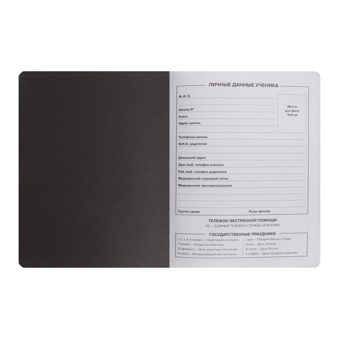 Дневник школьный для 1-11 классов  Дневник школьный для 1-11 классов "Ёж шутник", твёрдая обложка, искусственная кожа, аппликация из искусственной кожи, шелкография, 48 листов, блок офсет 80г/м2