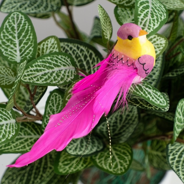 Декор на прищепке Декор на прищепке "Птица", микс , 13 х 4 х 5 см