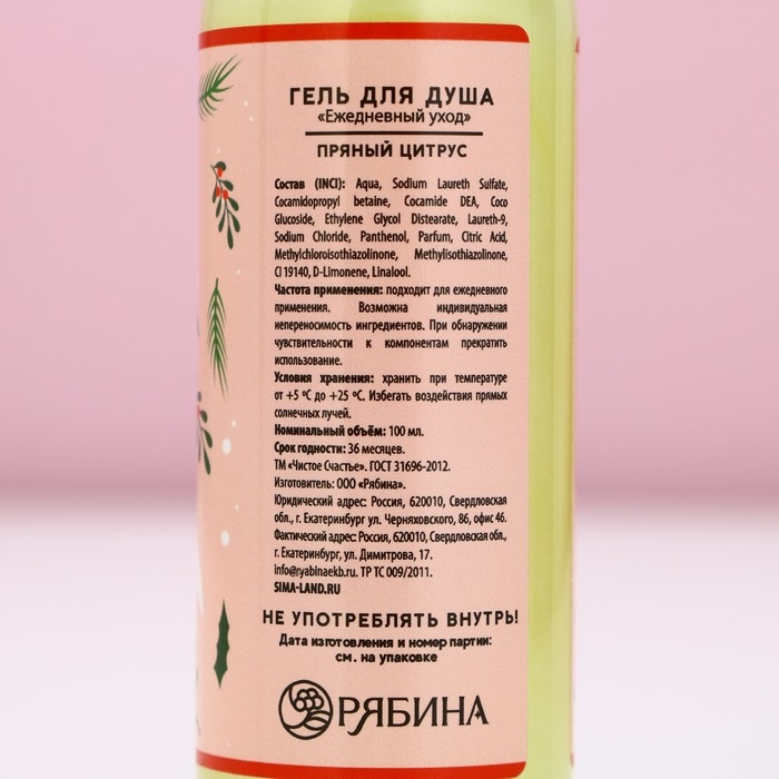 Гель для душа «Тепла и уюта в Новом Году!», 100 мл, аромат пряного цитруса, ЧИСТОЕ СЧАСТЬЕ Гель для душа «Тепла и уюта в Новом Году!», 100 мл, аромат пряного цитруса, ЧИСТОЕ СЧАСТЬЕ