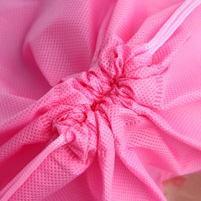 Мешок для обуви «Школьницы» полиэстер, размер 30 х 40 см Мешок для обуви «Школьницы» полиэстер, размер 30 х 40 см