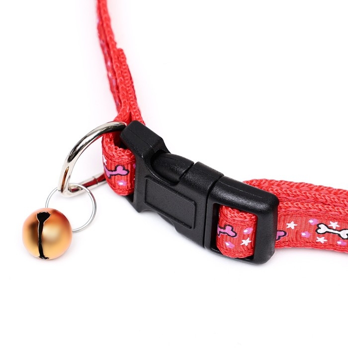 Ошейник нейлоновый Ошейник нейлоновый "Звездные косточки", 36 х 1,5 см, красный