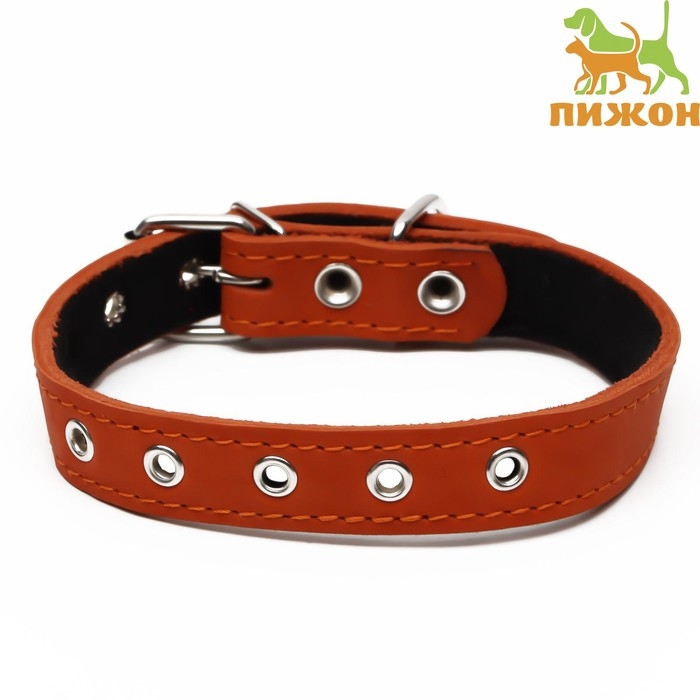 Ошейник кожаный на синтепоне, безразмерный, 54 х 2,5 см, ОШ 19-47 см, оранжевый Ошейник кожаный на синтепоне, безразмерный, 54 х 2,5 см, ОШ 19-47 см, оранжевый
