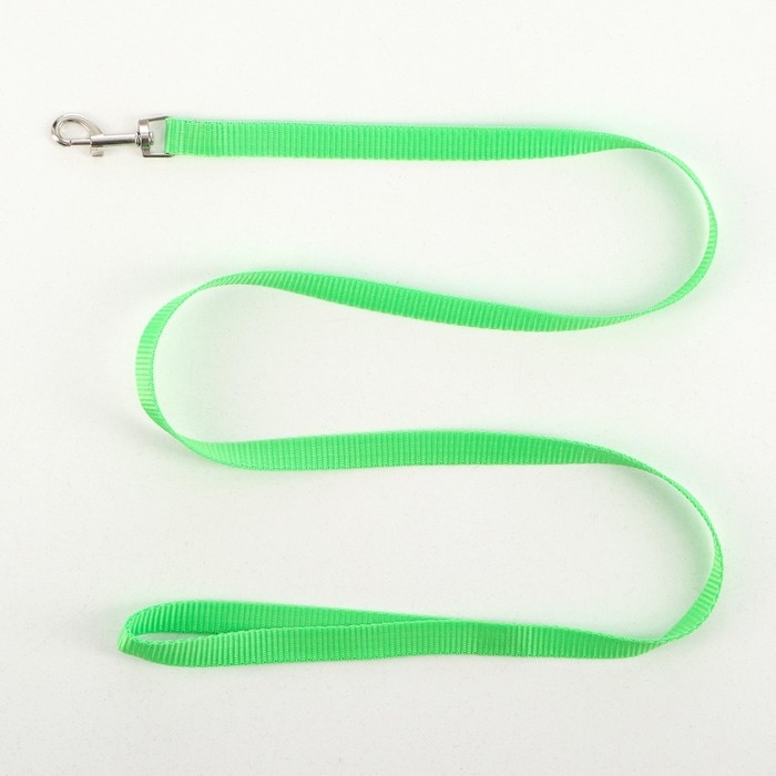 Комплект  Комплект "Базис", поводок 120 х 1,5 см, шлейка 32-46 х 1,5 см, зелёный