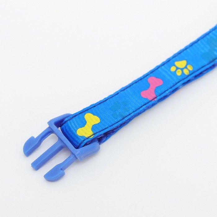 Ошейник двухслойный с фастексом Ошейник двухслойный с фастексом "Разноцветные косточки" 30 х 1 см, синий