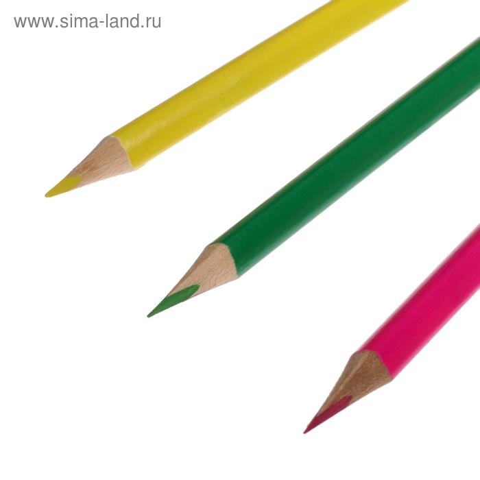 Карандаши 12 цветов, корпус деревянный, треугольный Карандаши 12 цветов, корпус деревянный, треугольный
