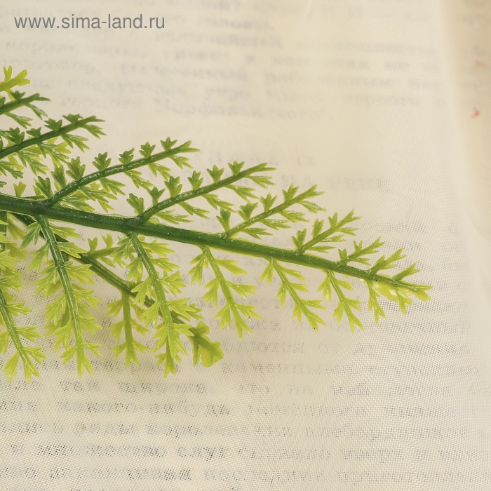 Букет "Лесной папоротник" 35 см