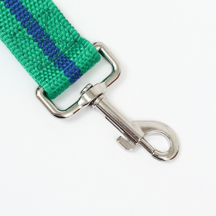 Поводок 2 м х 3 см, зелёно-синий Поводок 2 м х 3 см, зелёно-синий