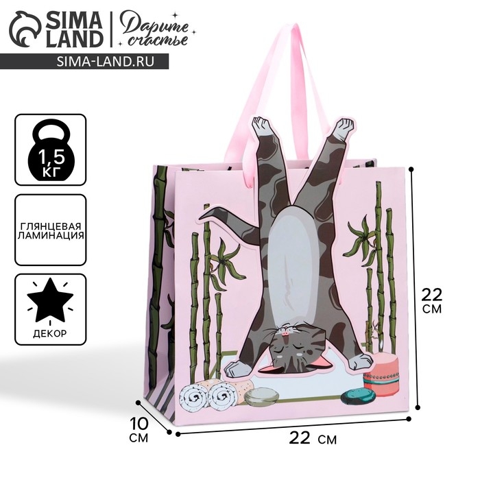 Пакет подарочный, упаковка, «Йога», 22 х 22 х 10 см Пакет подарочный, упаковка, «Йога», 22 х 22 х 10 см