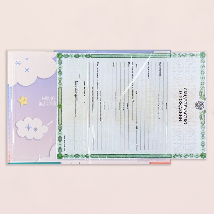 Свидетельство о рождении Свидетельство о рождении "Кролик" тиснение, облака А5