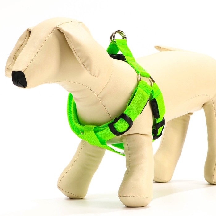 Шлейка светящаяся размер XL, стропа 2,5 см, ОГ 60-70 см, 3 режима свечения зелёная Шлейка светящаяся размер XL, стропа 2,5 см, ОГ 60-70 см, 3 режима свечения зелёная