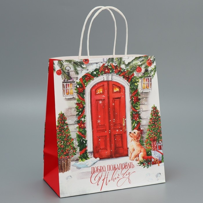 Пакет подарочный новогодний крафтовый «Добро пожаловать», 22 х 25 х 12 см, Новый год