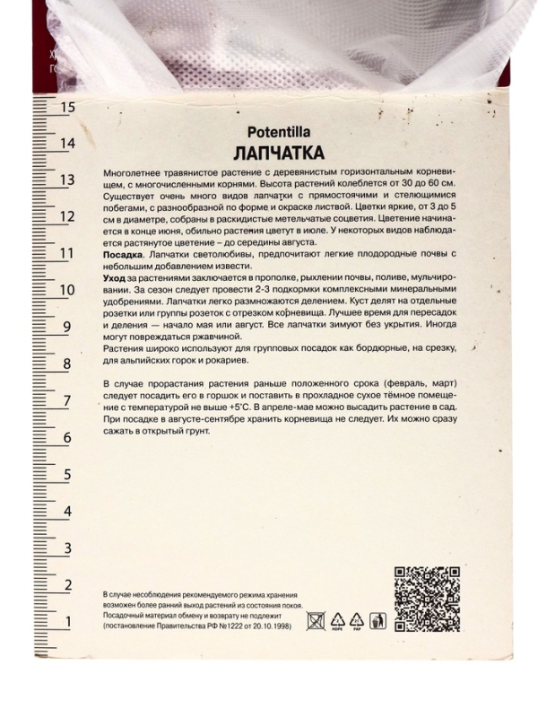 Лапчатка гибридная Монарх Вельвет, р-р I, 1 шт, Весна 2025