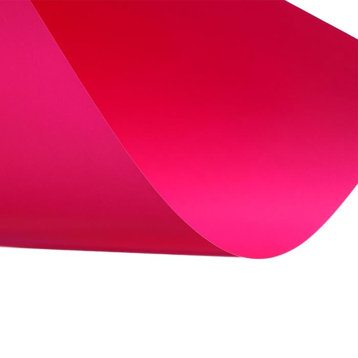 Бумага цветная А4, 10 листов, 10 цветов Licht, мелованная, двусторонняя, 65 г/м2, в папке Бумага цветная А4, 10 листов, 10 цветов Licht, мелованная, двусторонняя, 65 г/м2, в папке