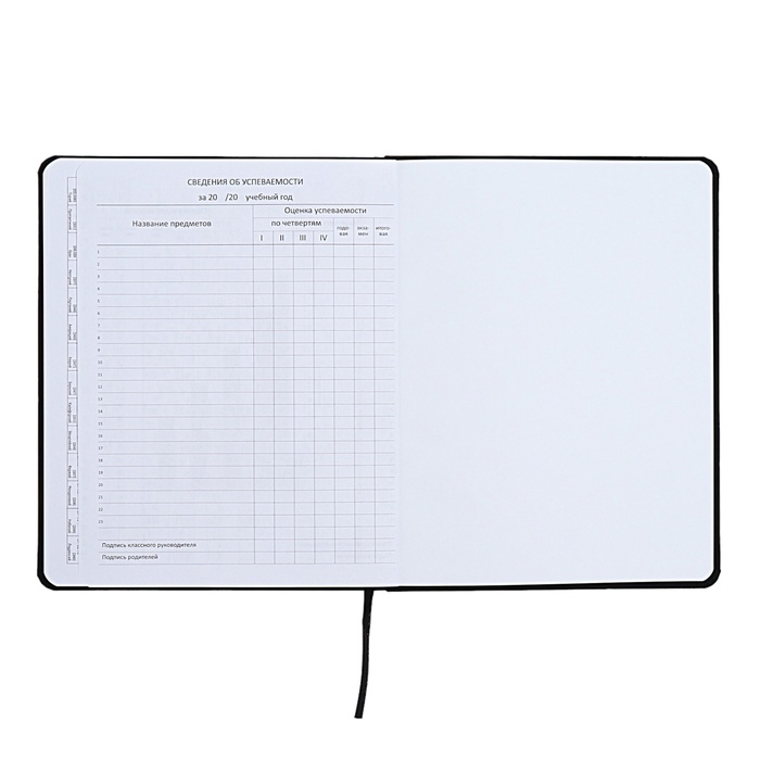 Дневник универсальный для 1-11 класса Good Luck, интегральная обложка, искусственная кожа, шелкография, ляссе, 80 г/м2