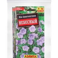 Набор Семена цветов многолетних (218584649) ВБ