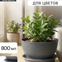 Горшок для цветов &laquo;Фиалочка&raquo;, 800 мл, d=14 см, h=8 см, пластиковый, серый