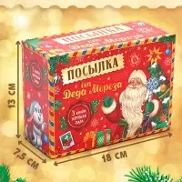 Подарочный набор на новый год &laquo;Посылка от Деда Мороза&raquo;, книги, игрушка и пазл МИКС