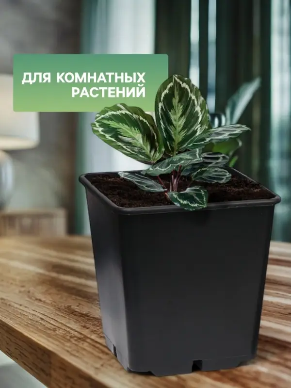 Горшок для рассады, 11 л, 25&times;25&times;26 см, чёрный